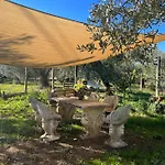 شقة Colle Perazzoni فيانو رومانو
