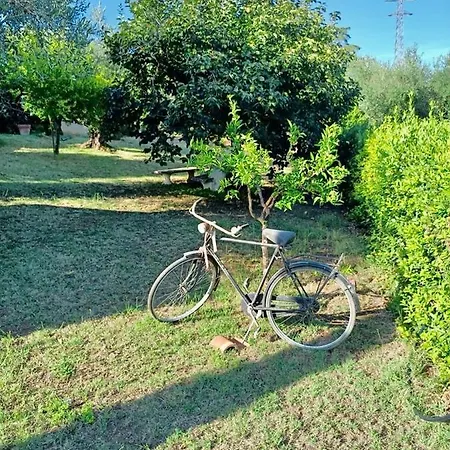 Apartament Colle Perazzoni *
