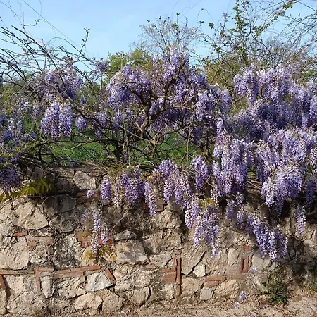 Colle Perazzoni Fiano Romano