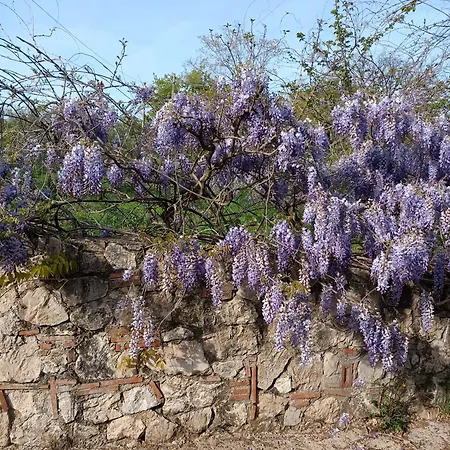 Colle Perazzoni Fiano Romano