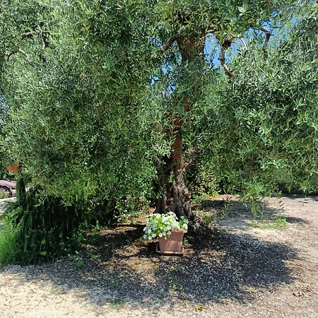 Colle Perazzoni