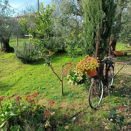 Apartment Colle Perazzoni *