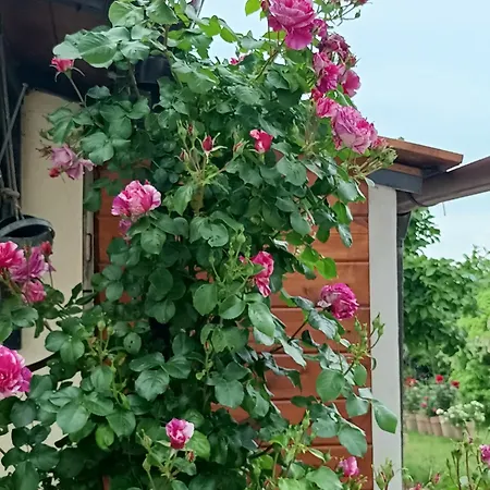 Colle Perazzoni