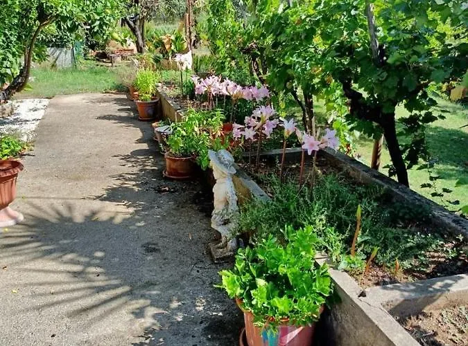 Colle Perazzoni *